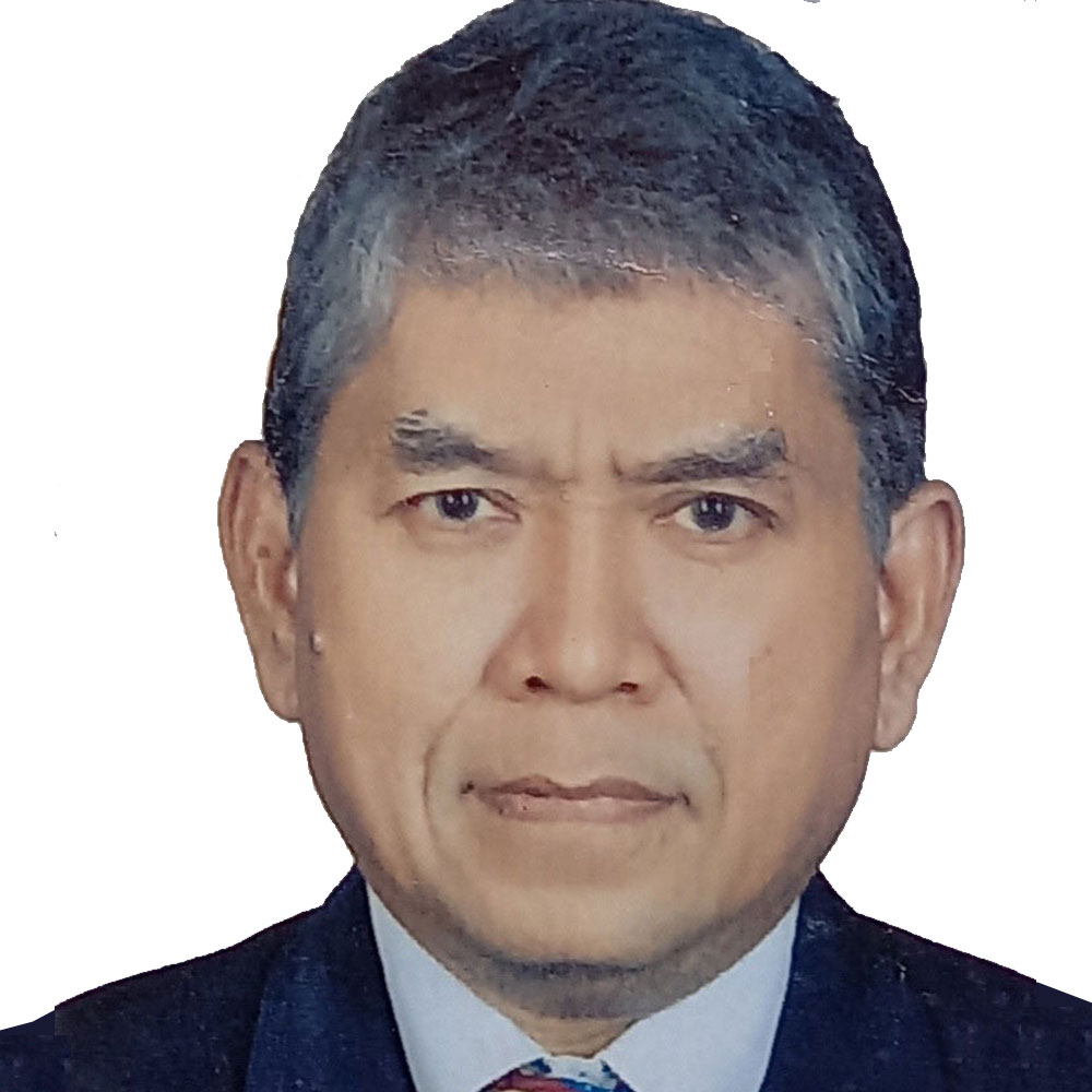 Prof. Dr. Ir. Hary Christady Hardiyatmo, M.Eng., DEA.