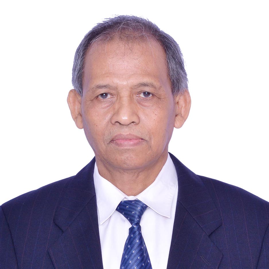 Prof. Dr. apt. Achmad Fudholi, DEA.