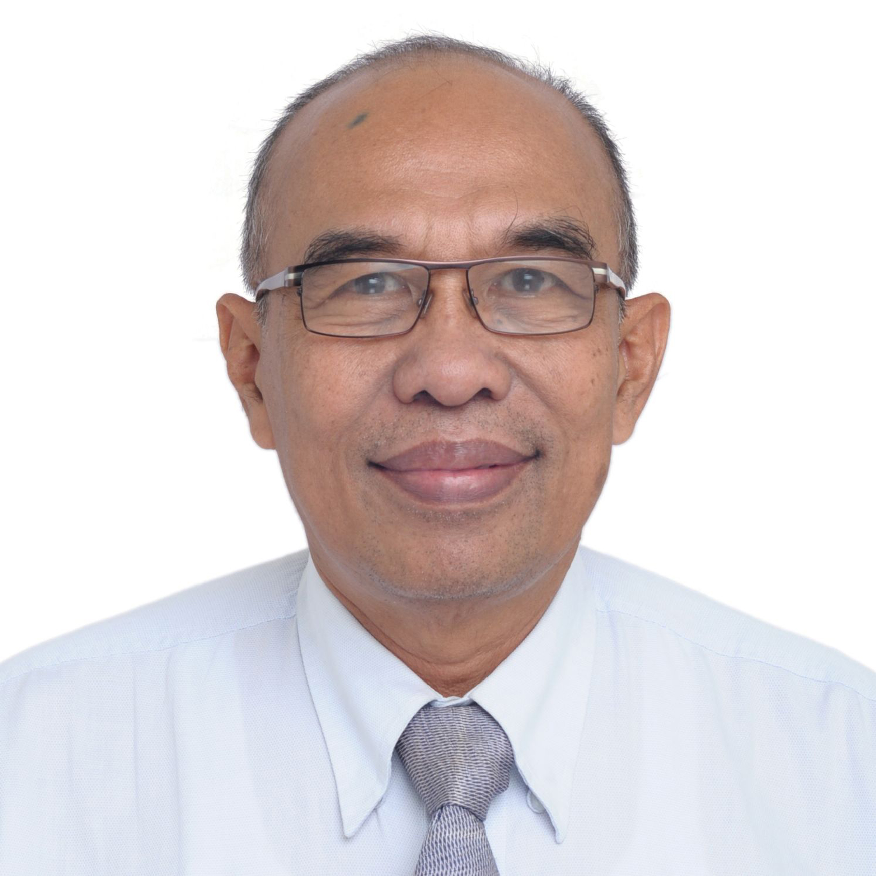 Prof. Dr. Ir. Subagyo, DEA.