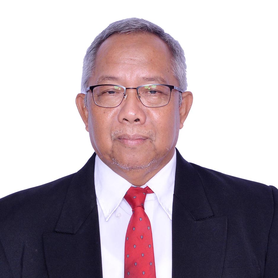Prof. Dr. apt. Subagus Wahyuono, M.Sc.