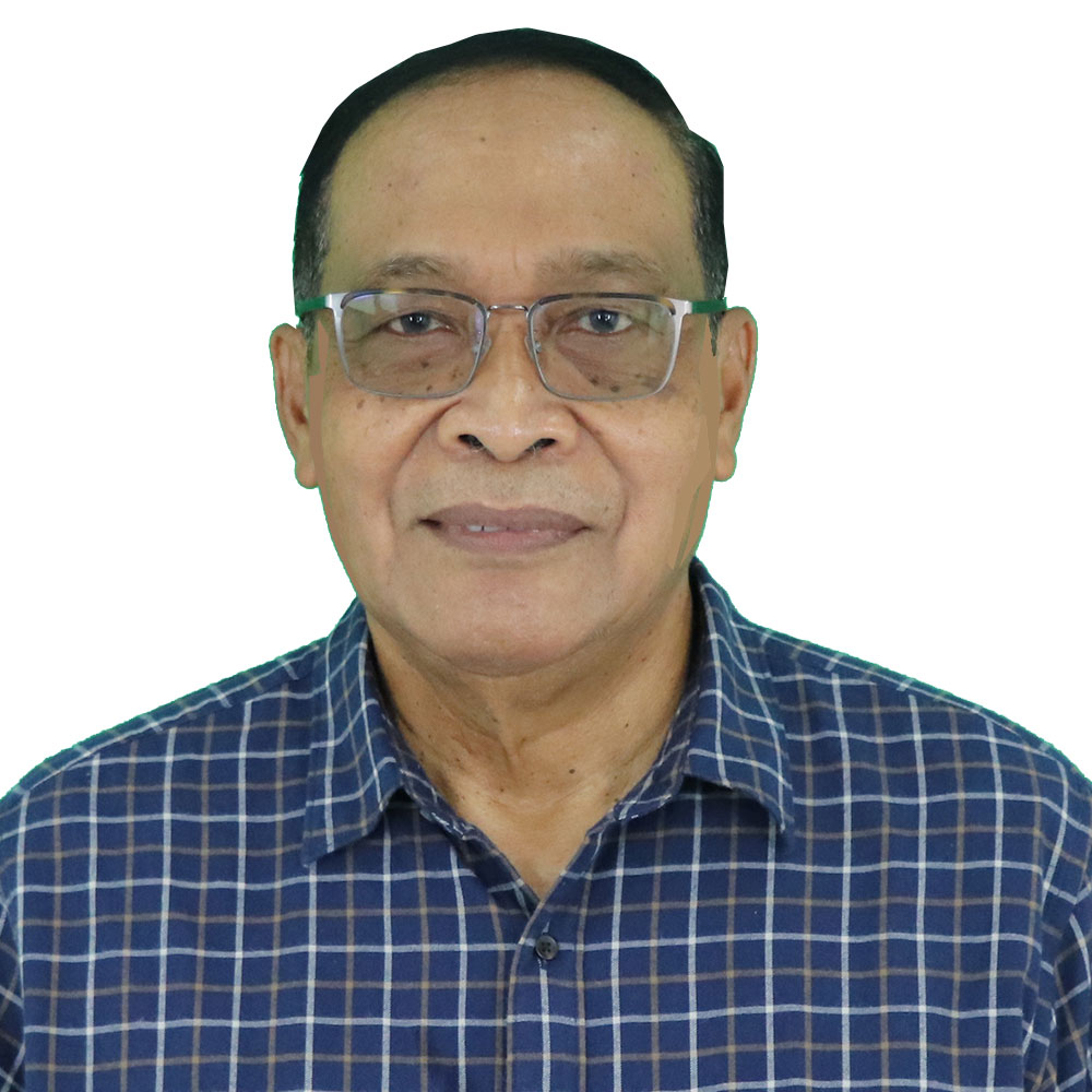 Prof. Dr. Ir. Budi Santoso Wignyosukarto, Dip.HE.