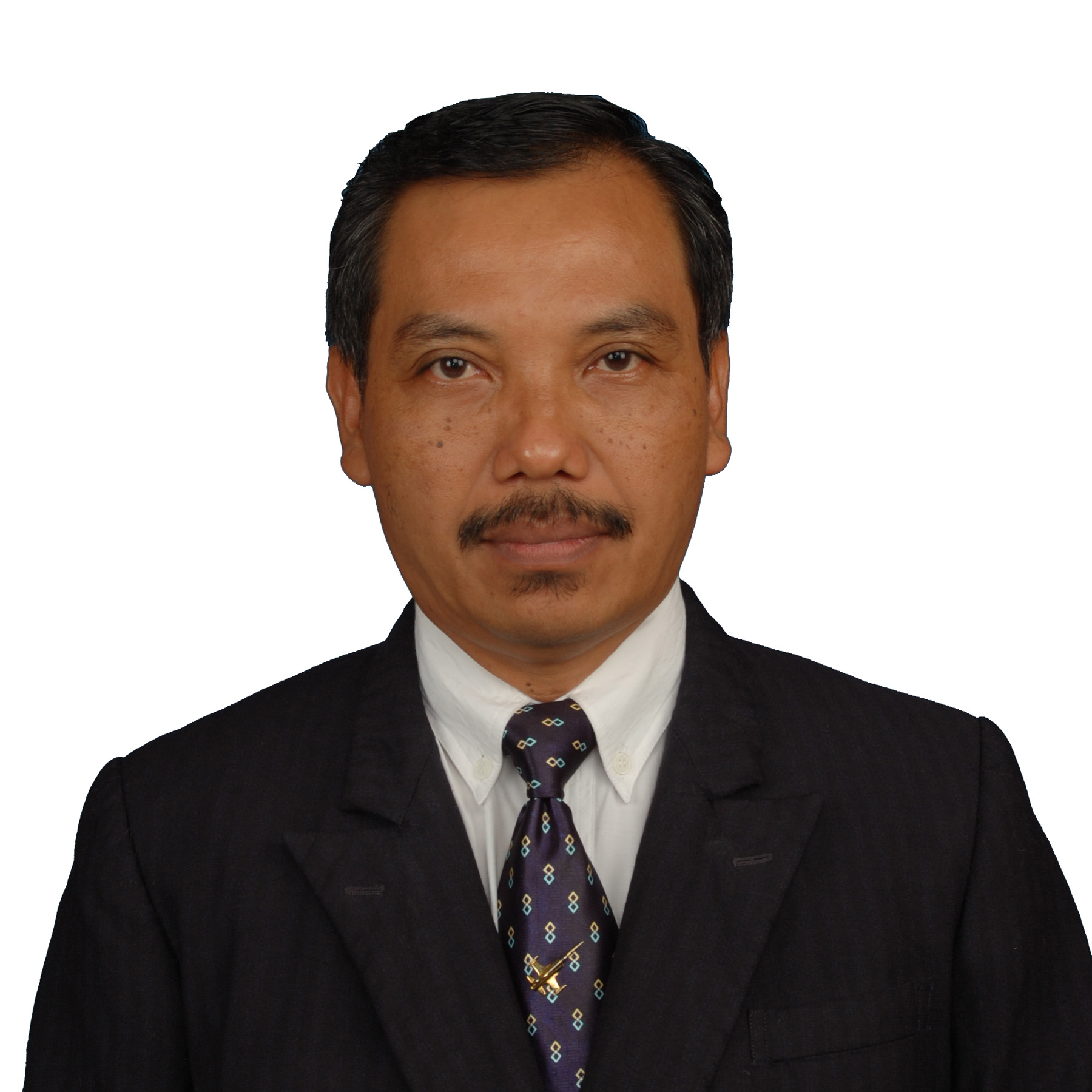Prof. Dr. Ir. Fransiscus Xaverius Wagiman, S.U.