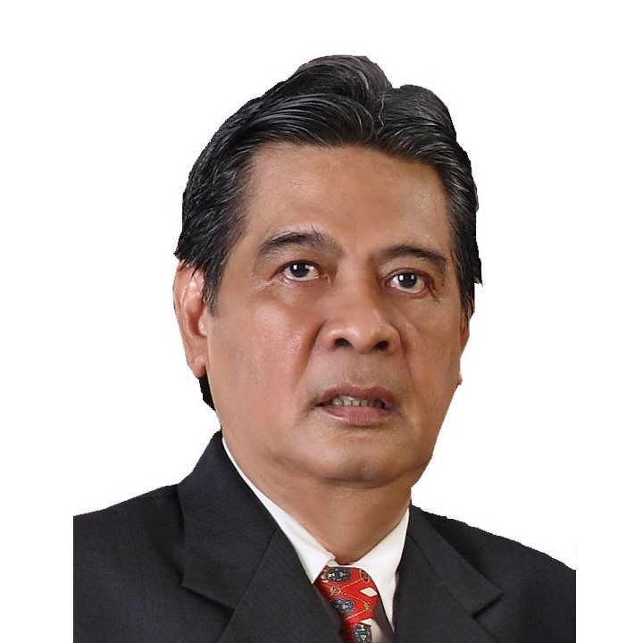 Prof. Dr. Bambang Rusdiarso, DEA