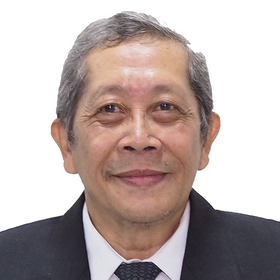 Prof. Dr. Sudarsono, Apt.